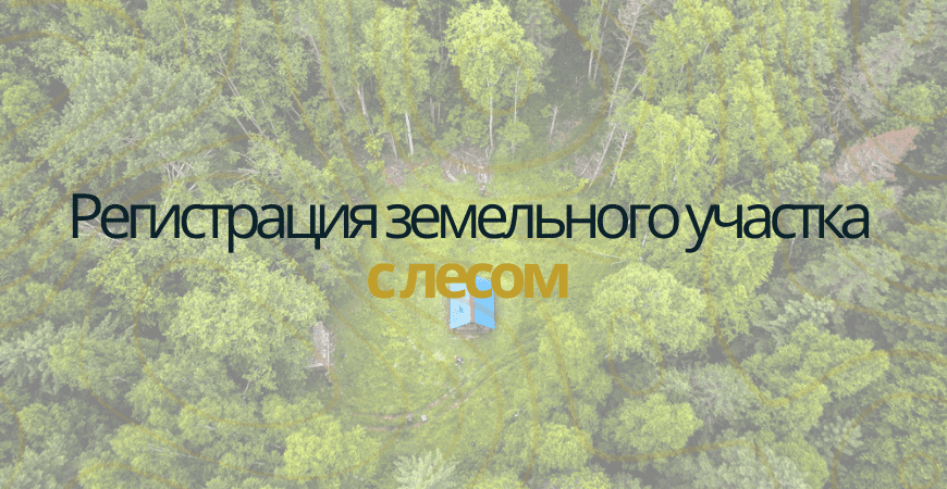 Земельный участок с лесом в Домодедово и Домодедовском районе